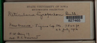 Image Associated With the Occurence